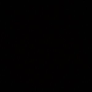 Meet your Posher, Isabelle